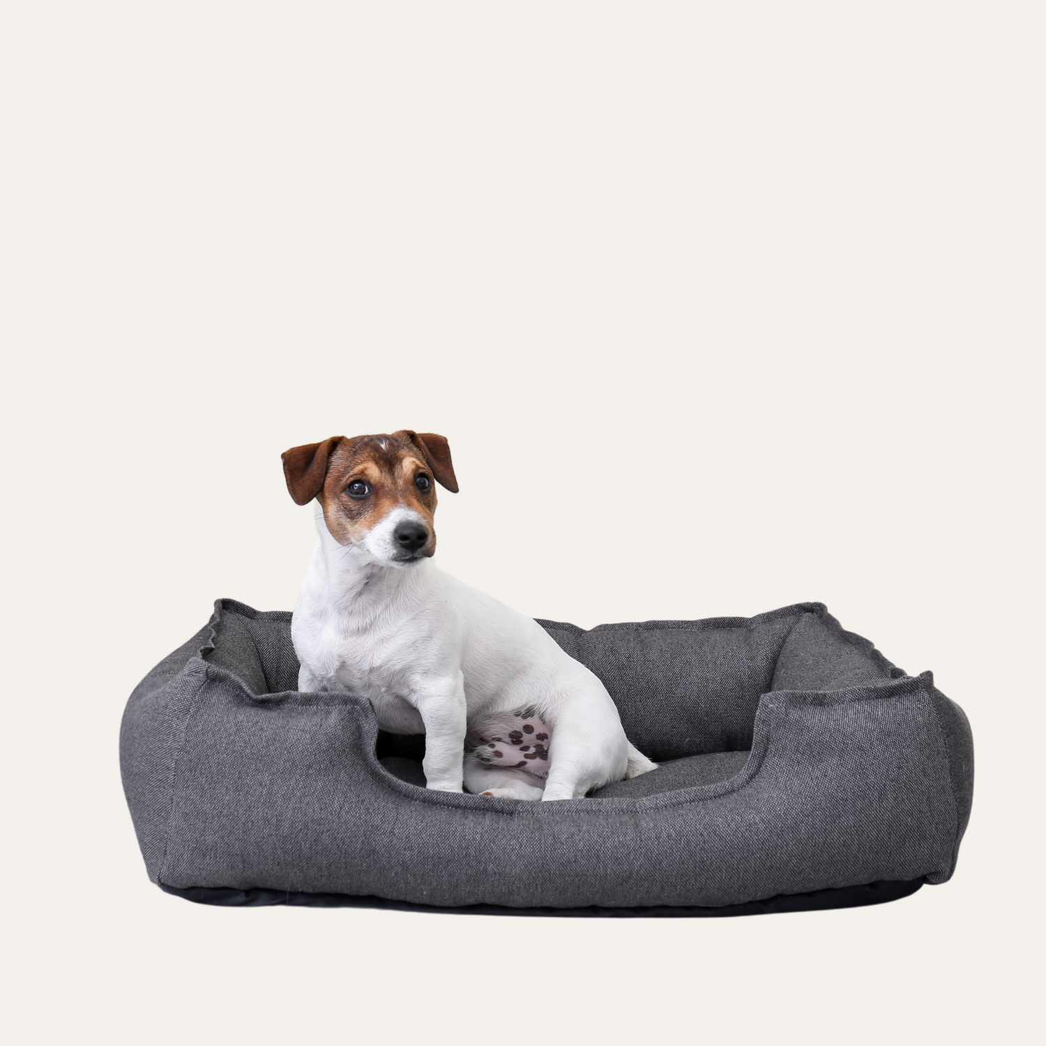 Pet Beds