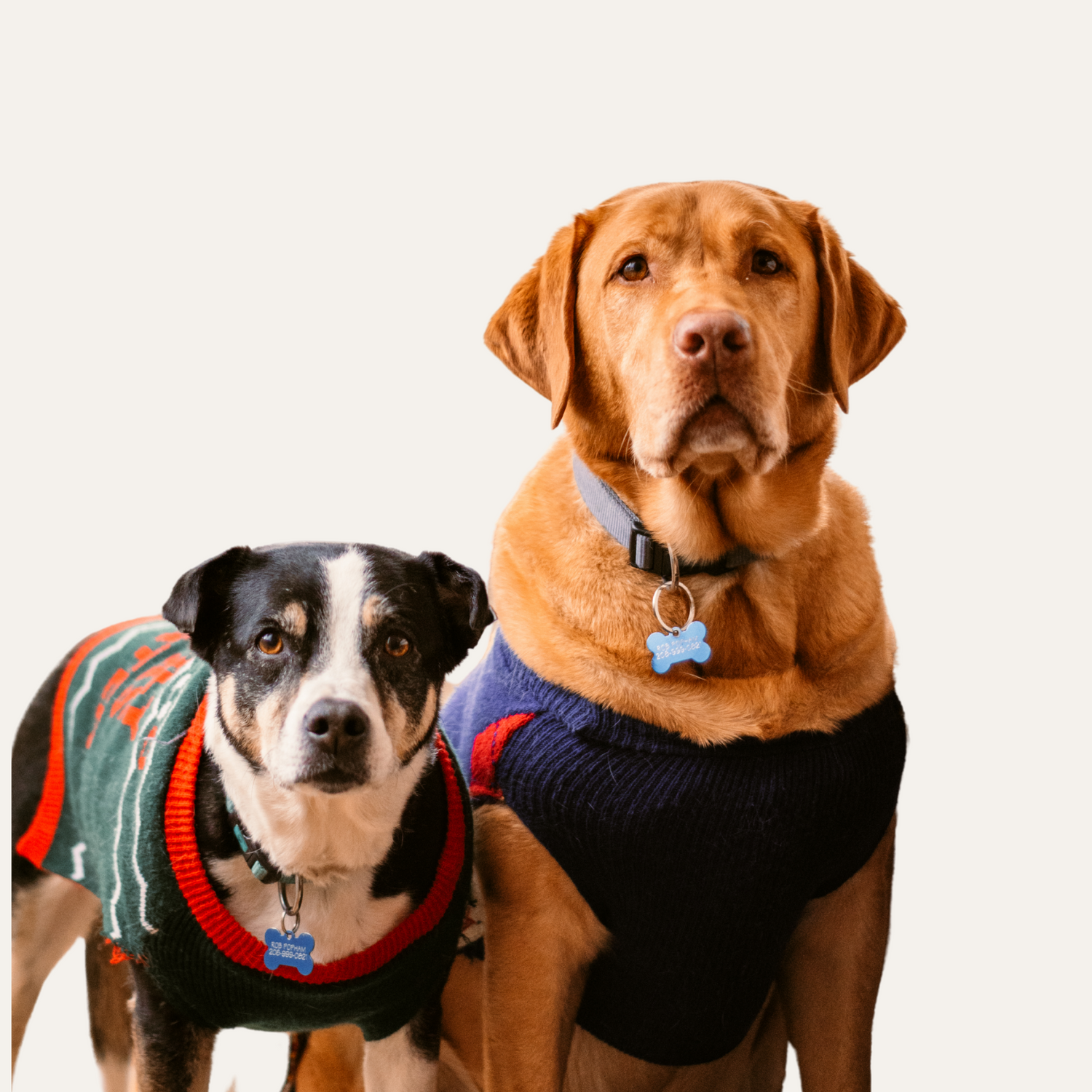 Pet Clothing