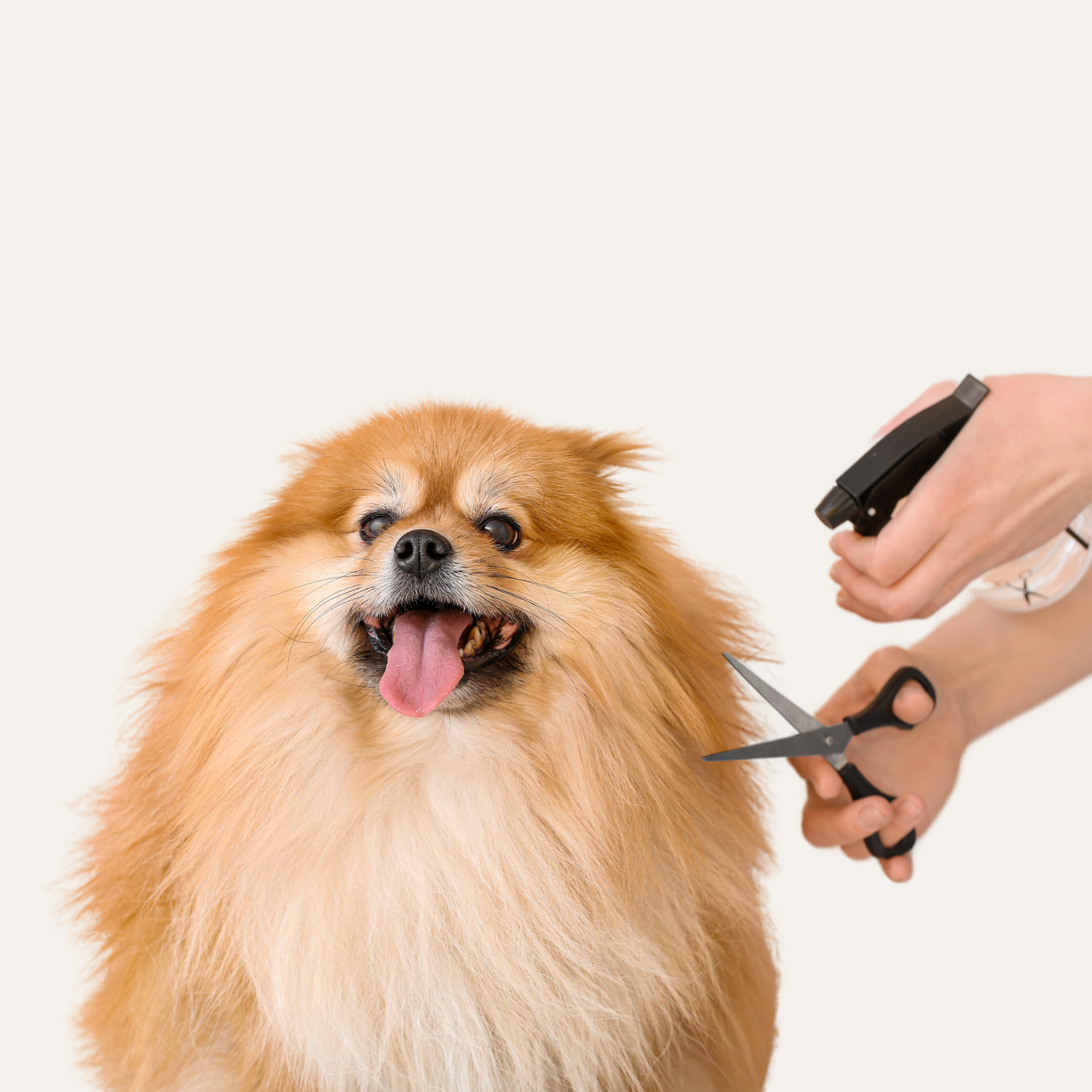 Grooming Essentials